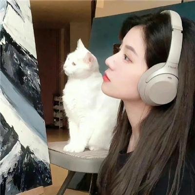 金戈铁马踏乾坤